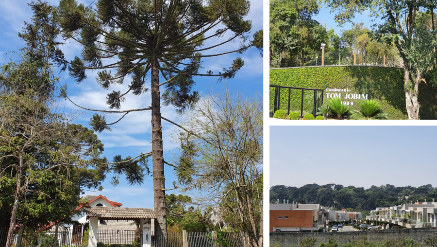 Casas e condomínios residenciais formam a paisagem do Campo Comprido.
